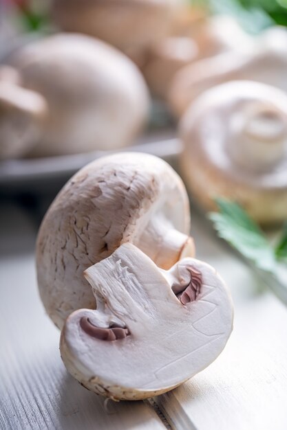 Paddestoel. Champignons in verschillende posities met kruidendecoratie.