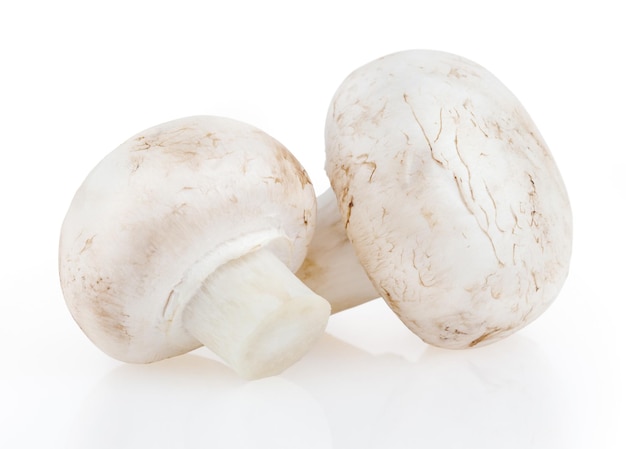 Paddestoelen geïsoleerd op een witte achtergrond met uitknippad