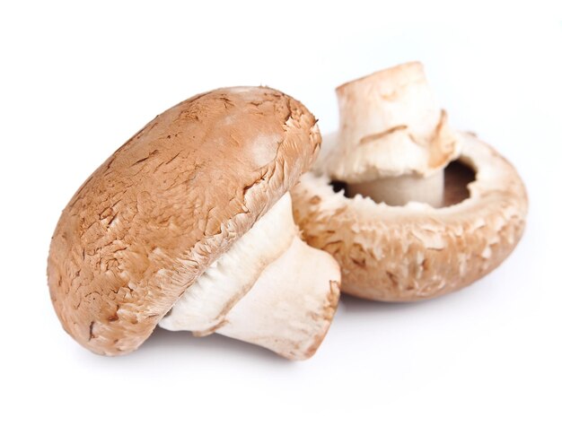 Paddestoelen Geïsoleerd