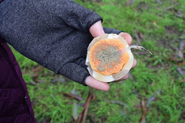 Paddestoelen in Mclaren Park San Francisco Calfornia