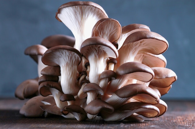 paddestoelen pleurotus op tafel