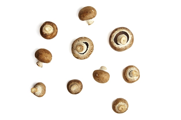 Paddestoelen, verse bruine champignons geïsoleerd op een witte achtergrond, bovenaanzicht. Veel ongekookt voedselingrediënt, plat gelegd