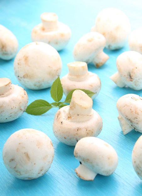 Paddestoelenchampignons op een blauwe achtergrond