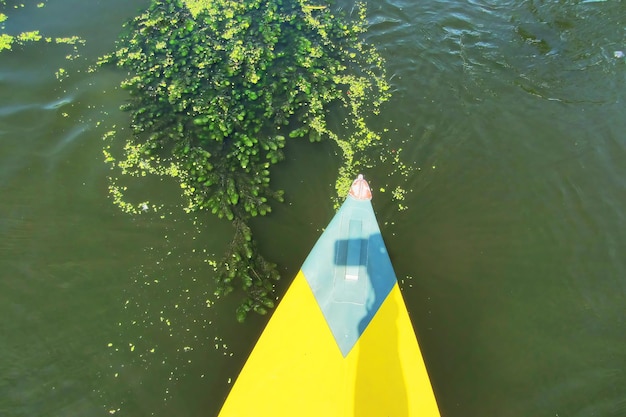 A paddle for rowing yellow while kayaking on the river with beautiful seaweed