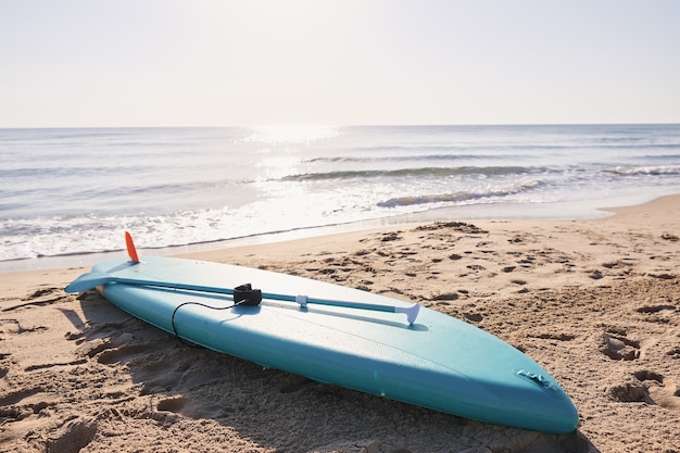 Paddle surf board in the sand on the beach at sunrise