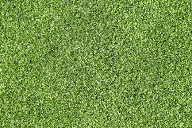 paddle tennis field artificial grass macro closeup 