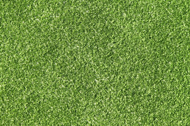 Photo paddle tennis field artificial grass macro closeup 