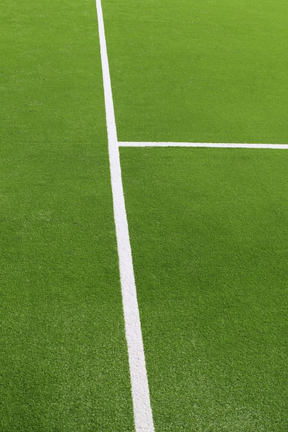 Linee bianche di struttura del campo di erba verde di paddle tennis