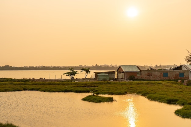 Paddy field in sunset time. Asian countryside landscape. Rural village scenery in Tainan, Taiwan.