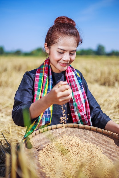 paddy rice in farmer woman hand