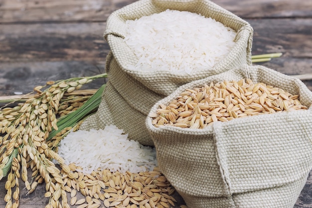 paddy rice with a rice uncooked in a bag and the spike rice form the field of farmland.