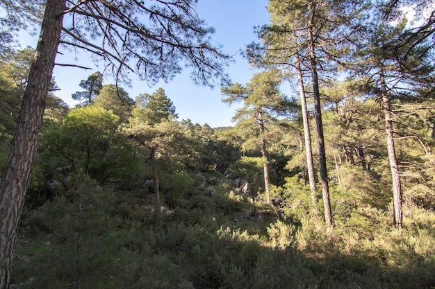 Paden met een prachtig uitzicht op de Sierra De Cazorla Spanje Natuurtoerisme concept