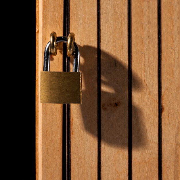 Lucchetto sulla porta di legno