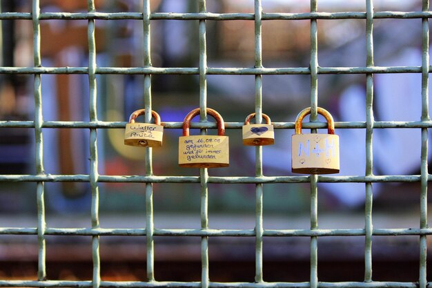 Photo padlocks attached on fence