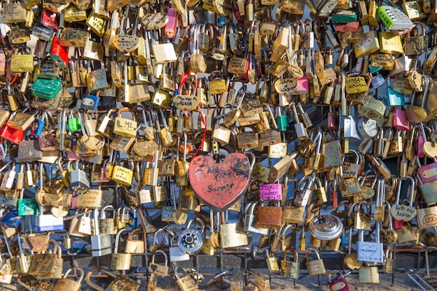 Padlocks hanging on bridge in paris