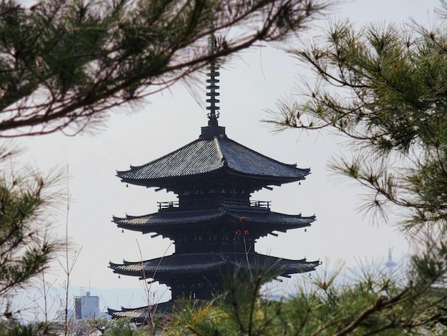 A pagoda in the distance is seen through the trees.