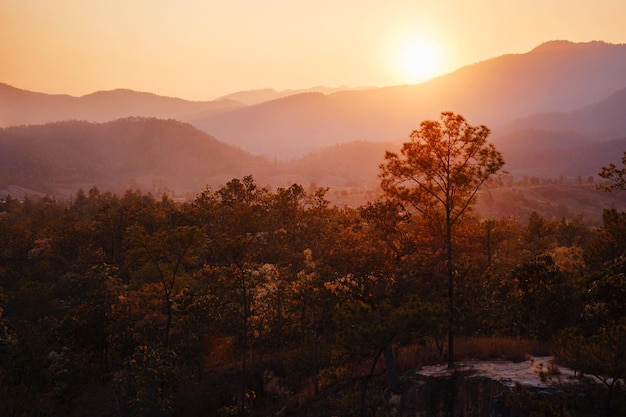 Pai Canyon Kong Lan in Mae hong son noordelijk Thailand