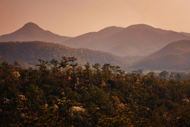 Pai Canyon Kong Lan in Mae hong son northern Thailand