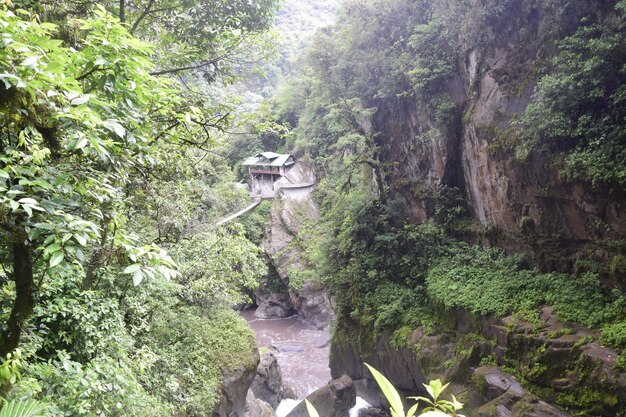 Pailon del Diablo Mountain 강과 Andes Banos의 폭포