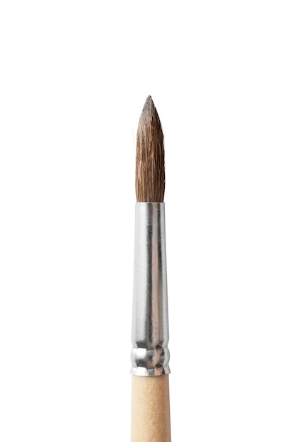 Paint brush isolated