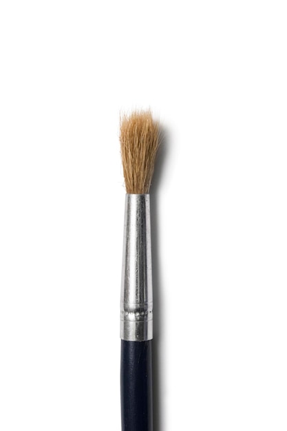 Paint brush isolated