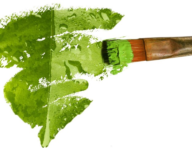 Photo a paint brush with green paint and a green leaf