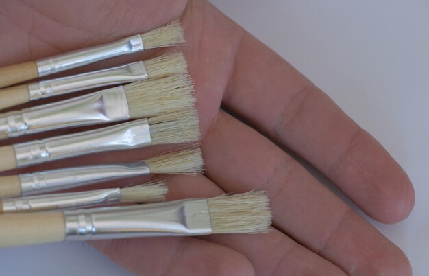 Premium Photo  Paint brushes in hand on white background closeup