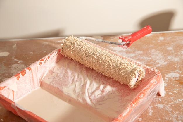 Paint roller in tray with paint