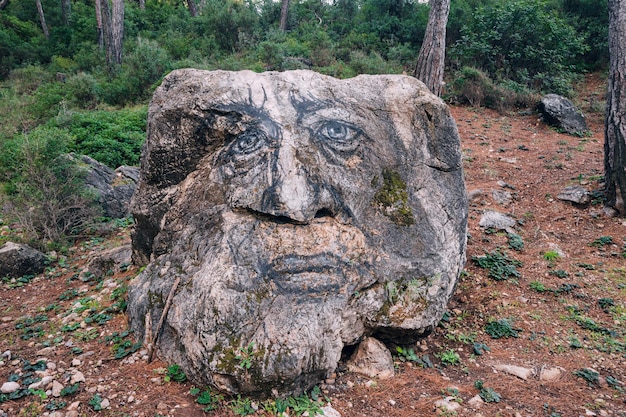 Painted big stone in forest as troll face