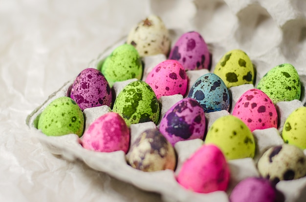 Painted bright quail eggs in a blue bowl, mix for Easter.