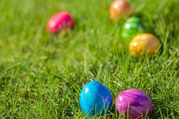 Painted decorated colorful easter eggs in fresh green grass with copy space spring happy easter conc