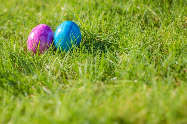 Painted decorated colorful easter eggs in fresh green grass with copy space spring happy easter conc