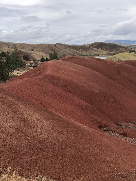 Foto colline dipinte