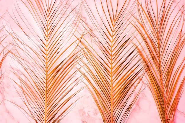 Painted Orange date palm leaves on bright red marble background. Summer, tropical, exotic concept. Top view, flat lay.