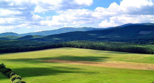 Foto pittura dell'agricoltura