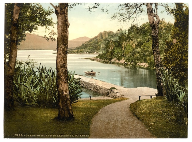 a painting of a path leading to a lake with a boat in the water