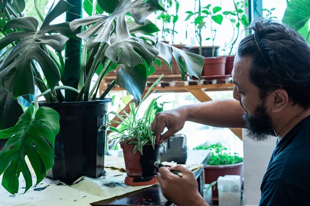 Foto dipingere un vaso di fiori riciclati in nero a casa diy makeover progetto di piante da interno