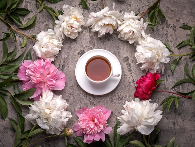 Paionies flowers and cup of coffee on grey background.