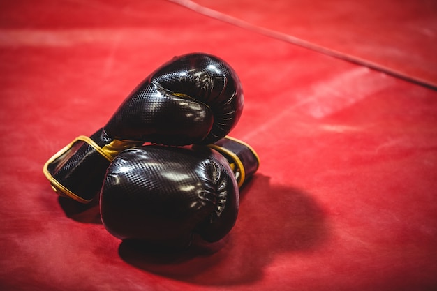 Pair of black boxing gloves