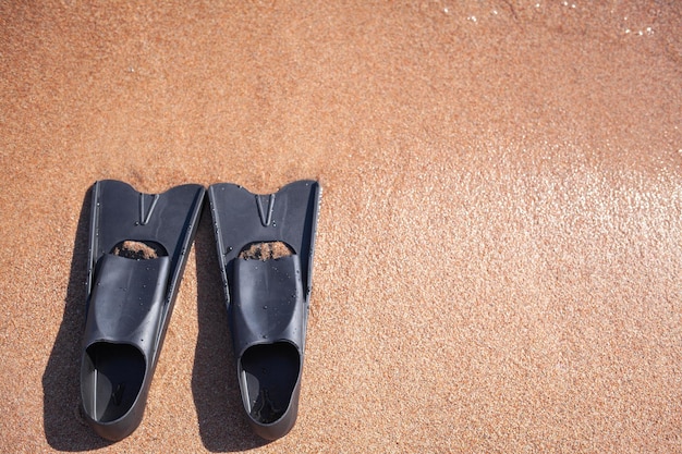 A pair of black flippers on the background of sand next to the water, top view. Swimming equipment