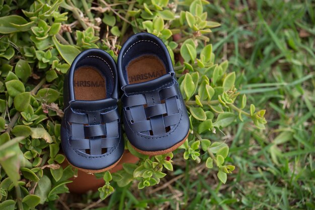 Foto un paio di scarpe blu e marroni con la parola su di loro