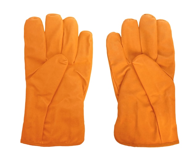 Photo pair of gloves