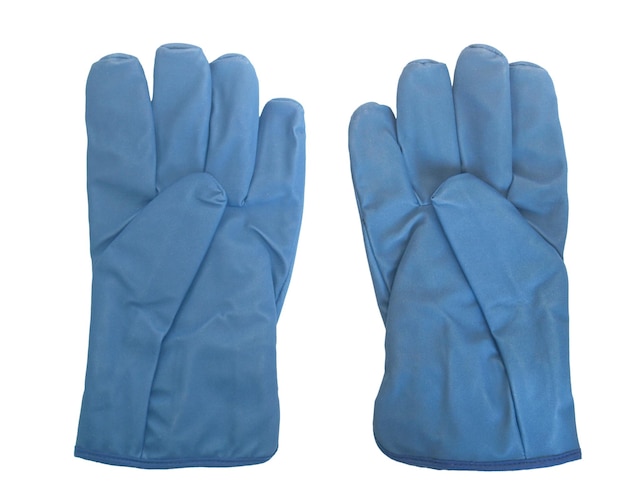 Pair of gloves