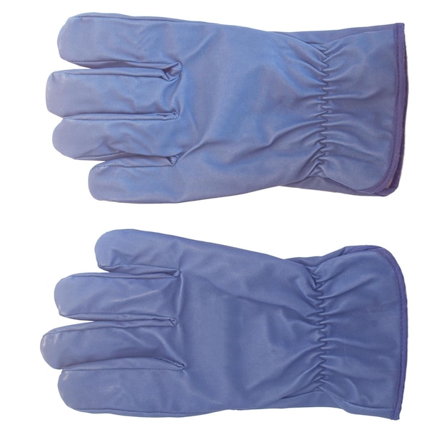 Pair of gloves