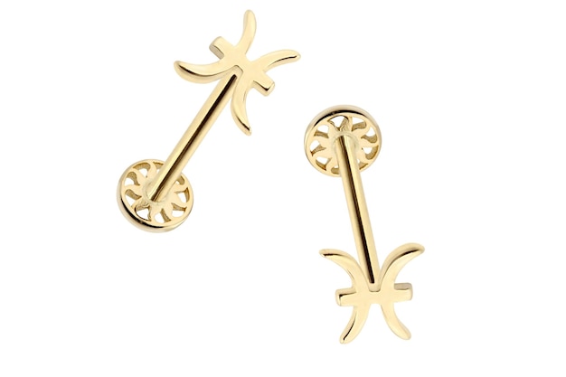 A pair of gold earrings with the word star on the bottom.