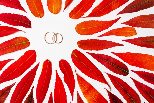 A pair of gold wedding rings in a frame of colorful autumn leaves