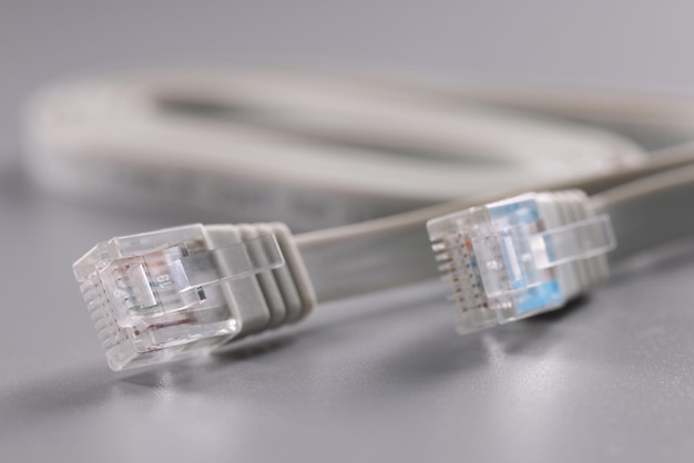 Pair of internet connectors on grey background cable with plastic clip