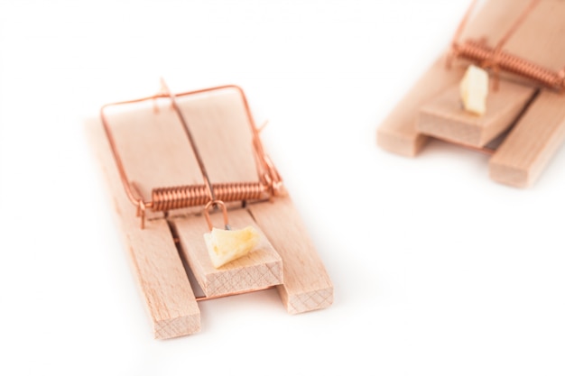 Pair of mousetraps with cheese