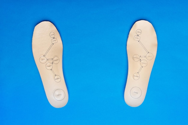 Фото Пара ортопедических стелек с названиями органов человека, написанными на синем фоне. концепция лечения и комфорта ног.