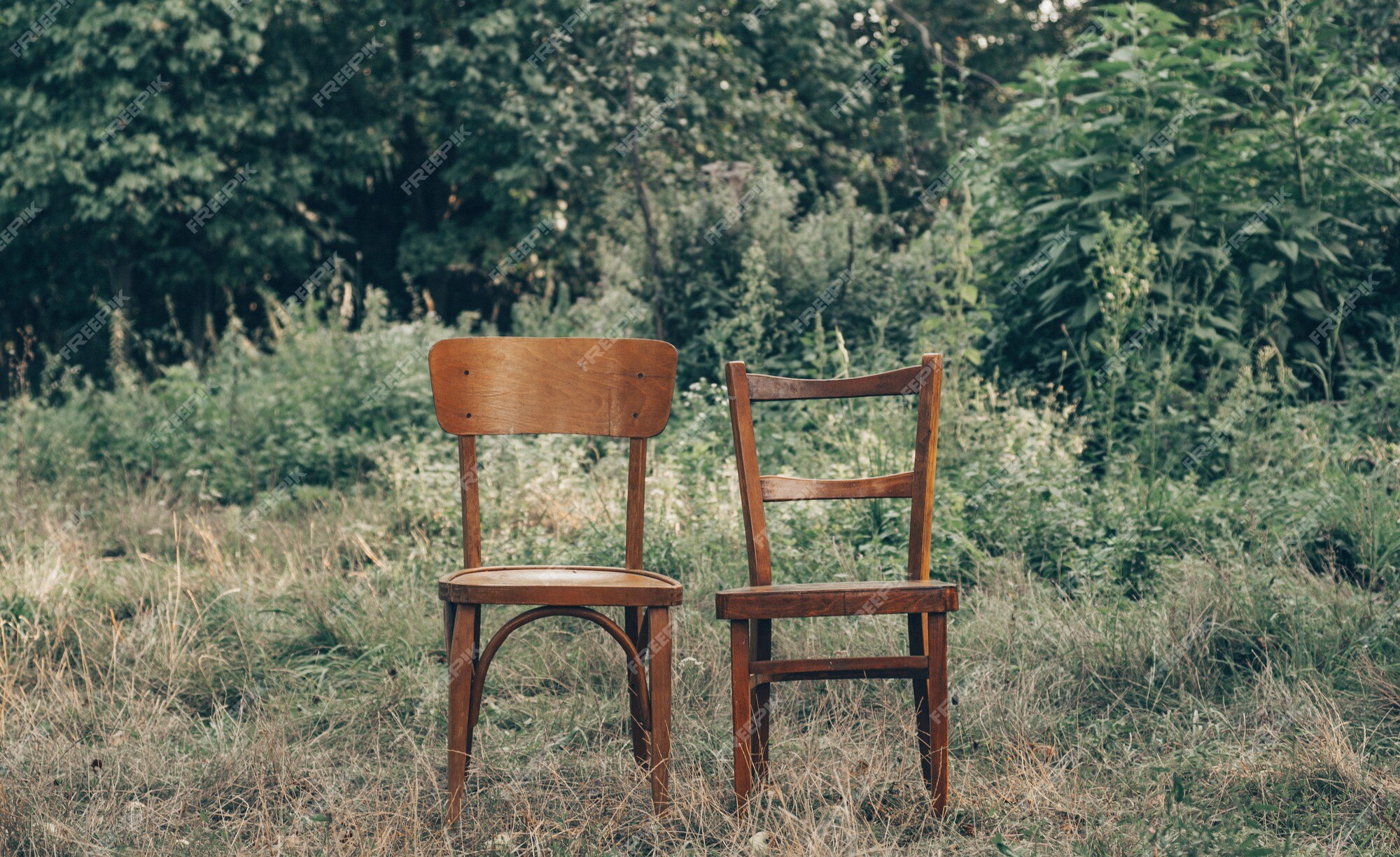 Chair Nature Images - Free Download on Freepik